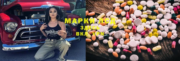 мяу мяу мука Алзамай